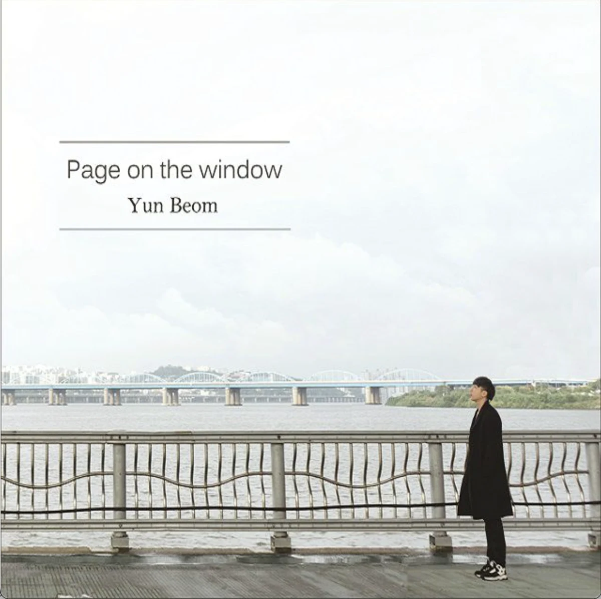 page on the window